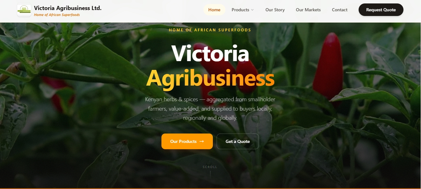 Victoria Agribusiness website desktop view - web design Kenya showcase